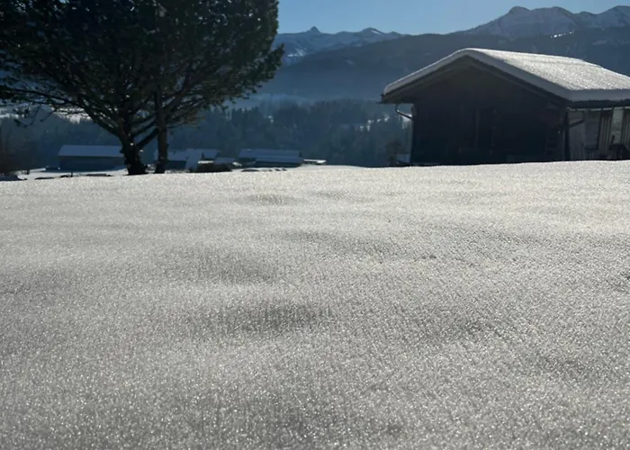 Apartment Panorama *